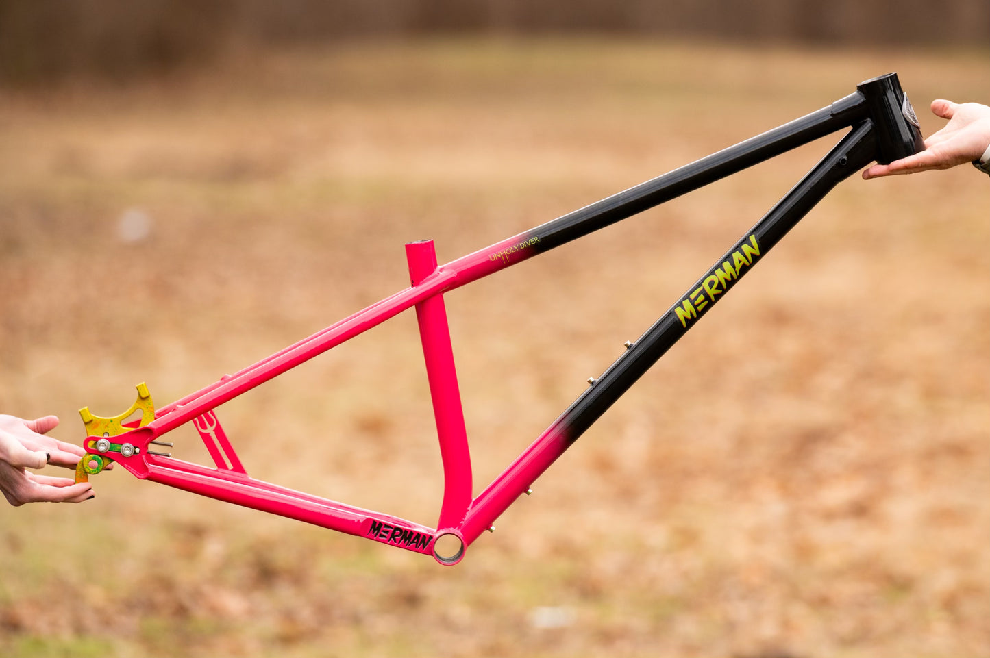 CUSTOM ANODIZED Dropouts for Unholy Diver