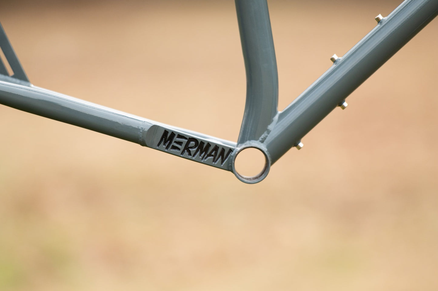Unholy Diver Steel Frame