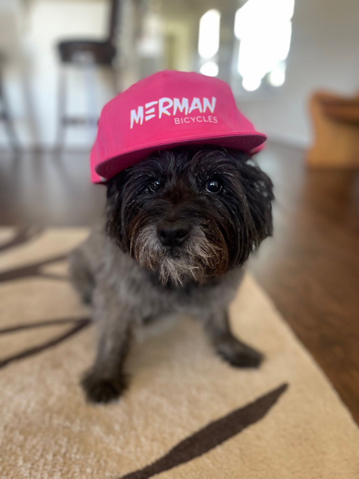 Merman Sexy Grandpa Hat